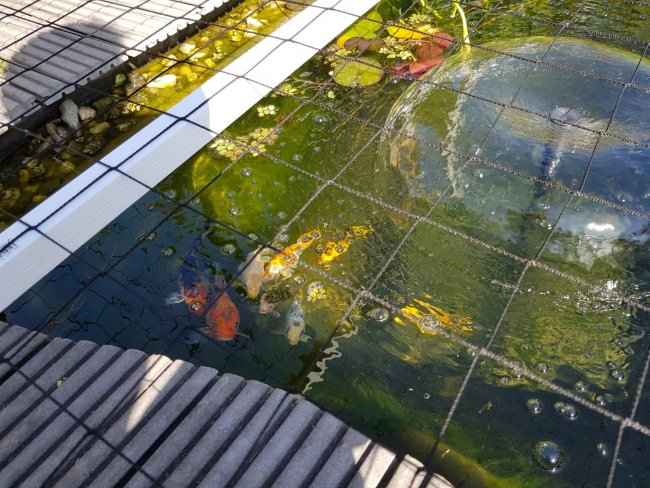 Kundenfoto von Netz per Quadratmeter (nach Maß) 1,5/60 mm 