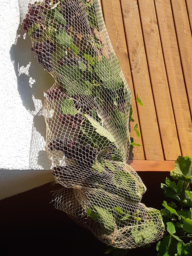 Kundenfoto von Close-meshed Bird Protection Net (Custom-Made) 