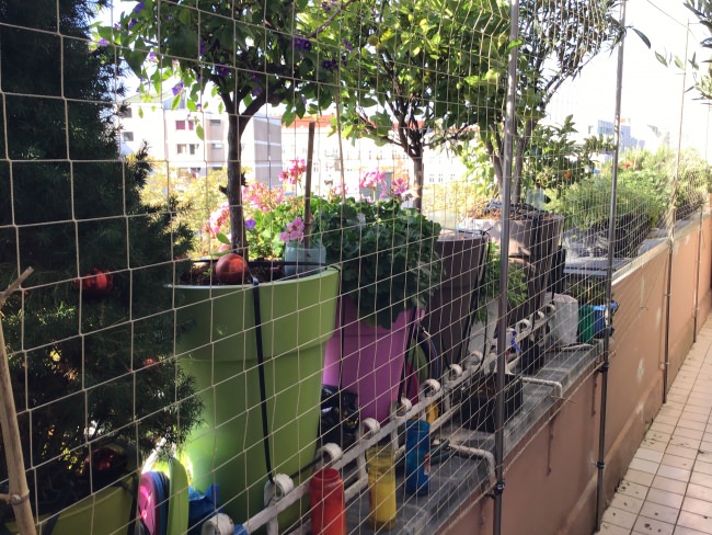 Kundenfoto von Safety Net by the m² (Made to Measure) 1.0/50 mm 