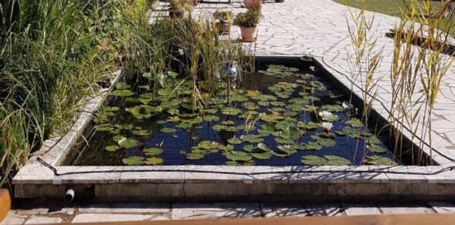 Kundenfoto von Heron Protection Net by the m² (Custom-Made), black 