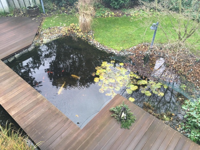 Kundenfoto von Leaf Net by the m² (Custom-Made) 