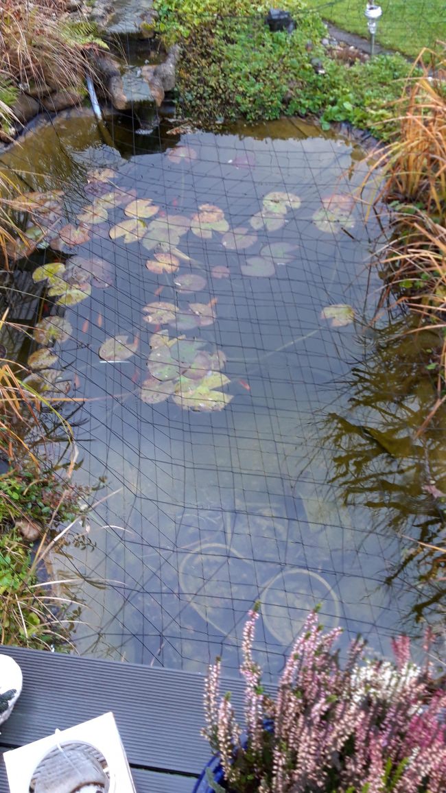 Kundenfoto von Heron Guard Net by the m² (Custom-Made), black 