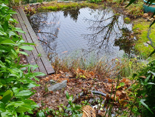 Kundenfoto von Heron Protection Net by the m² (Custom-Made), black 