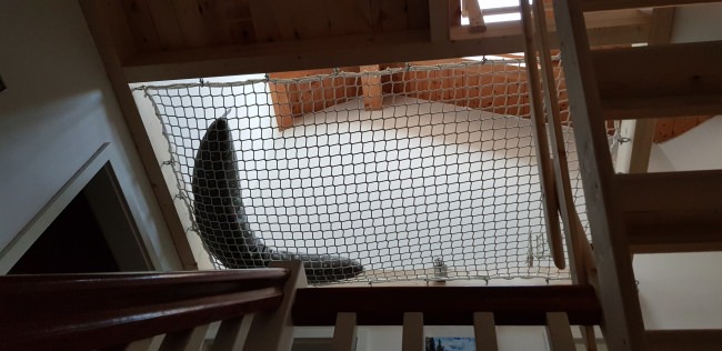 Kundenfoto von Fall Safety Net by the m² (Custom-Made), EN 1263 