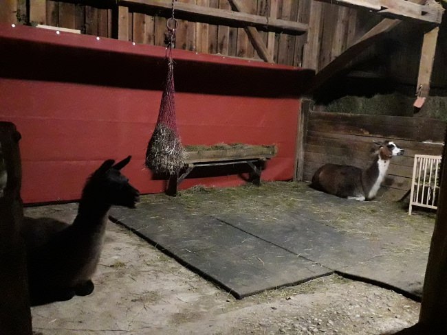 Kundenfoto von Windschutznetz nach Maß für Heim, Garten und Sport 