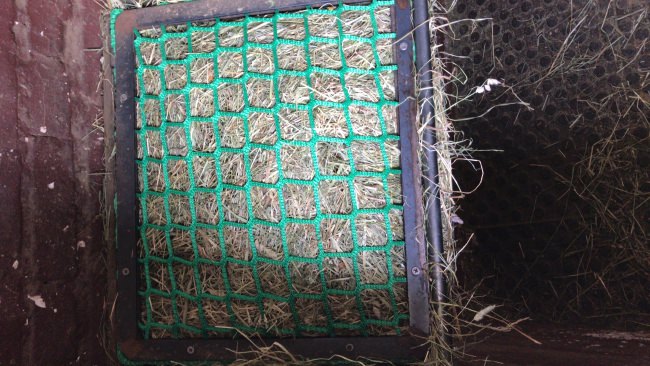 Kundenfoto von Hay Feeding Net by the m² (Custom-Made) 