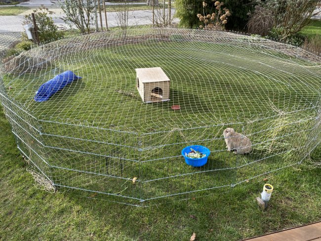 Kundenfoto von Pigeon Protection Net by the m² (Custom-Made) 