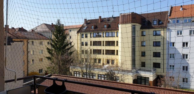 Kundenfoto von Pigeon Protection Net by the m² (Custom-Made) 