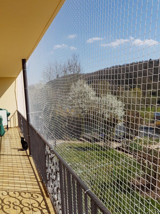 Kundenfoto von Cat Safety Net by the m² (Custom-Made) 