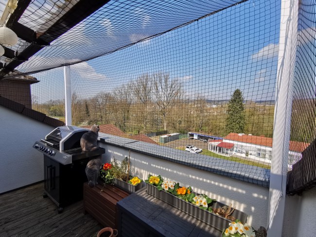 Kundenfoto von Cat Safety Net by the m² (Custom-Made) 