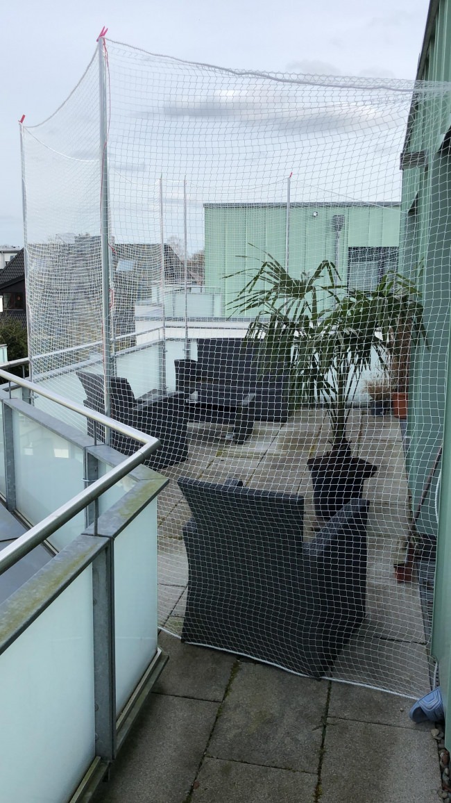 Kundenfoto von Netz per Quadratmeter (nach Maß) 1,0/30 mm 