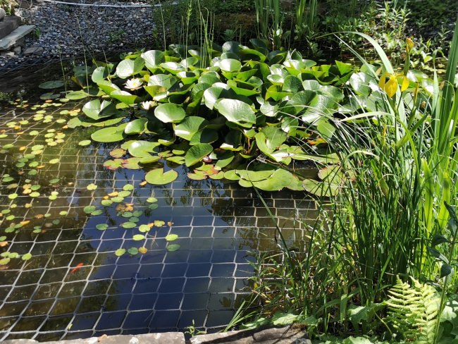 Kundenfoto von Bauschutznetz DIN EN 1263-1 per m² (nach Maß) 