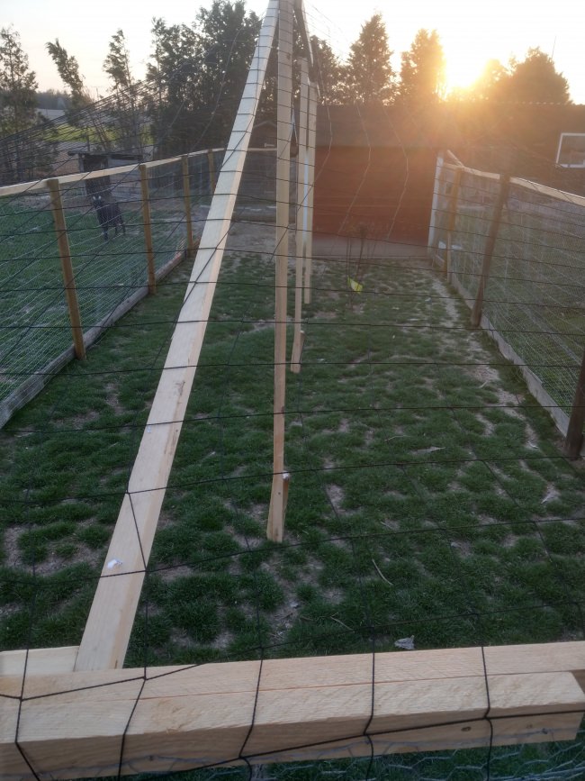 Kundenfoto von Reiher-Schutznetz per m² (nach Maß), schwarz 