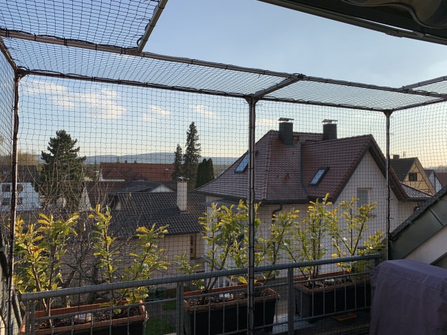 Kundenfoto von Cat Safety Net by the m² (Custom-Made) 