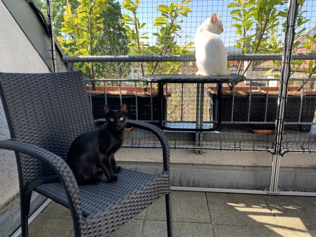 Kundenfoto von Cat Safety Net by the m² (Custom-Made) 