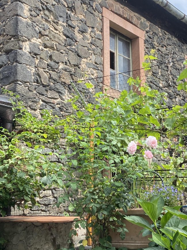 Kundenfoto von Cat Net by the m² (Made to Measure) 