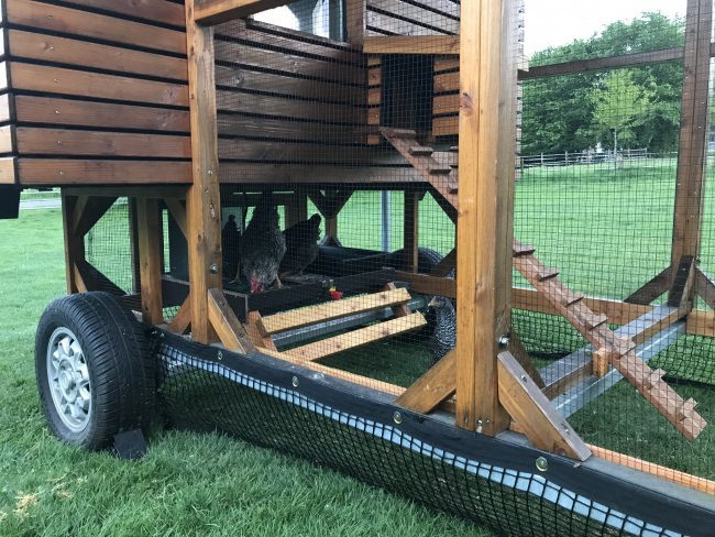 Kundenfoto von Polyester Tape With Eyelets 