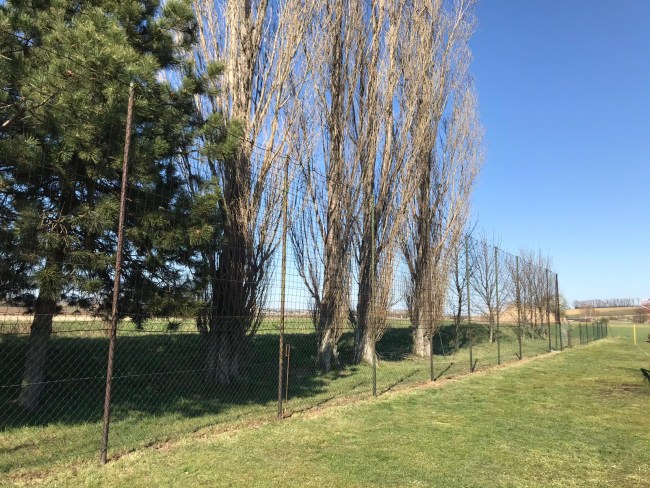 Kundenfoto von Fußballfangnetz per m² (nach Maß) 