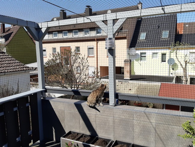 Kundenfoto von Cat Safety Net by the m² (Custom-Made) 