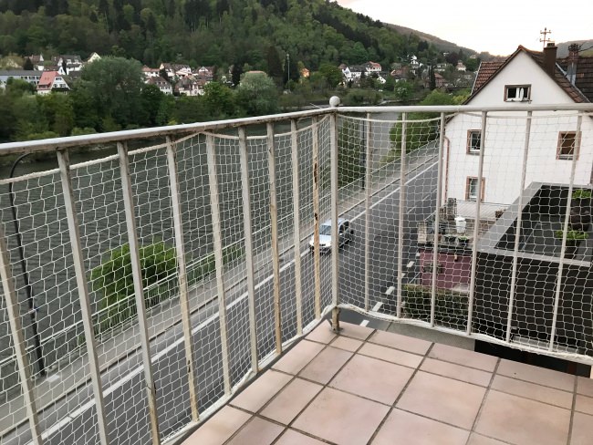 Kundenfoto von Bird Protection Net with Border, by the m² (Custom-Made) 