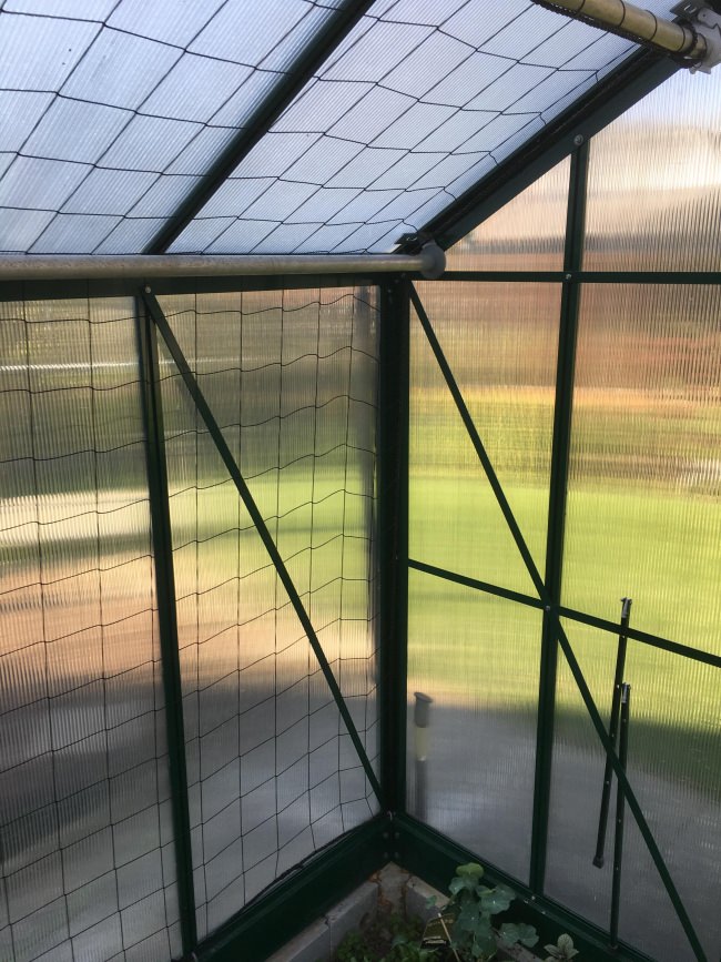 Kundenfoto von Climbing Plant Net by the m² (Trellis Netting), Black 