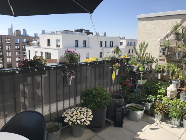 Kundenfoto von Opaque Screen Netting by the m² (Custom-Made) 