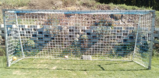 Kundenfoto von Fußballtornetz in Vereinsfarben nach Maß 