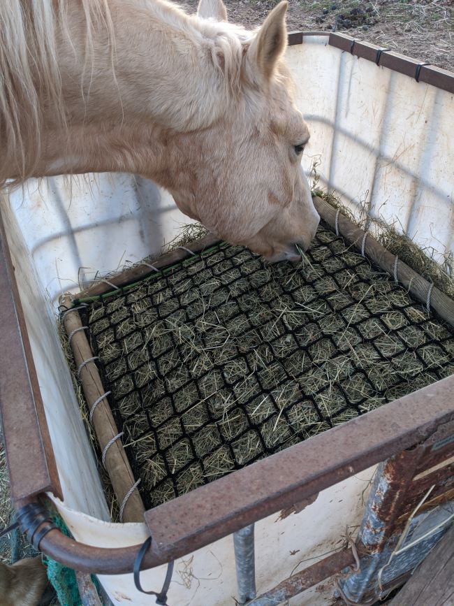 Kundenfoto von Hay Net by the m² (Custom-Made) 