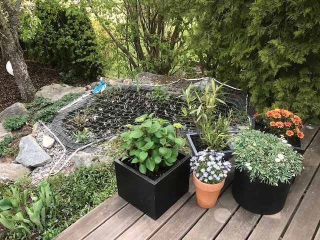 Kundenfoto von Pond Covering Net by the m² (Custom-Made) 