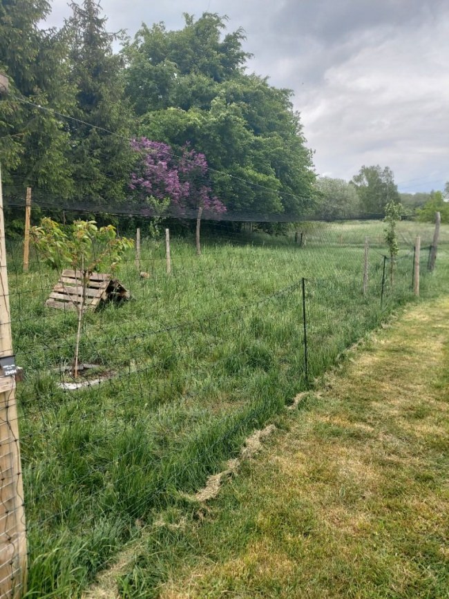 Kundenfoto von Reiher-Schutznetz per m² (nach Maß), schwarz 