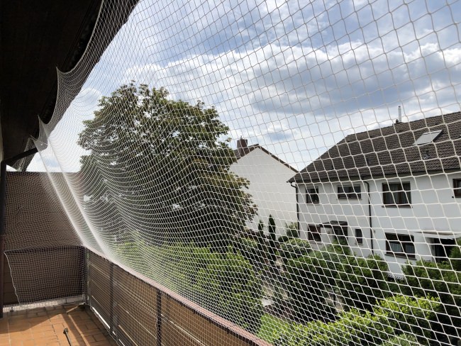 Kundenfoto von Cat Safety Net by the m² (Custom-Made) 