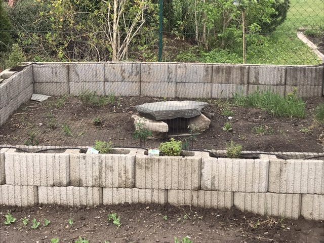 Kundenfoto von Bird Protection Net with Border, by the m² (Custom-Made) 