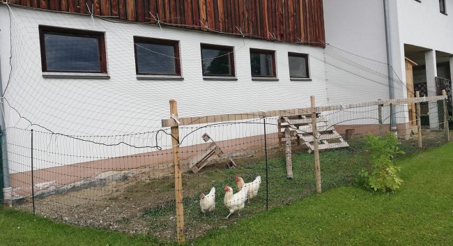 Kundenfoto von Heron Protection Net by the m² (Custom-Made), black 