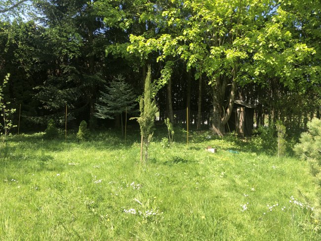 Kundenfoto von Perimeter Fence for Poultry, Black 