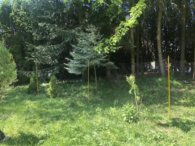 Kundenfoto von Perimeter Fence for Poultry, Black 