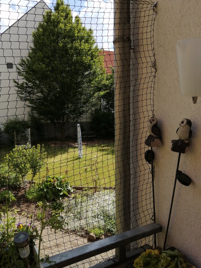 Kundenfoto von Nirosta stainless steel eye strap with drilled holes M6 