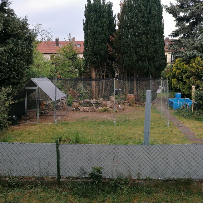 Kundenfoto von Greifvogel-Schutznetz für Hühnergehege nach Maß 