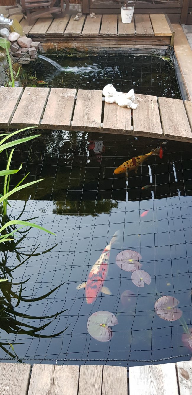 Kundenfoto von Heron Protection Net by the m² (Custom-Made), black 