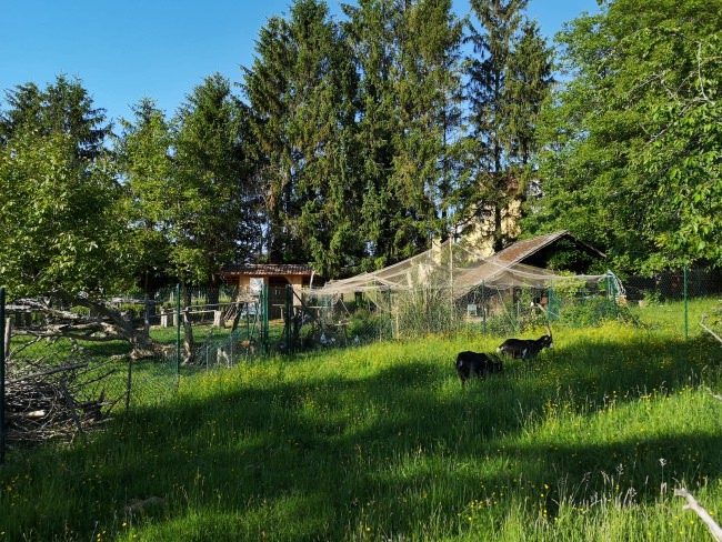 Kundenfoto von Pigeon Protection Net by the m² (Custom-Made) 