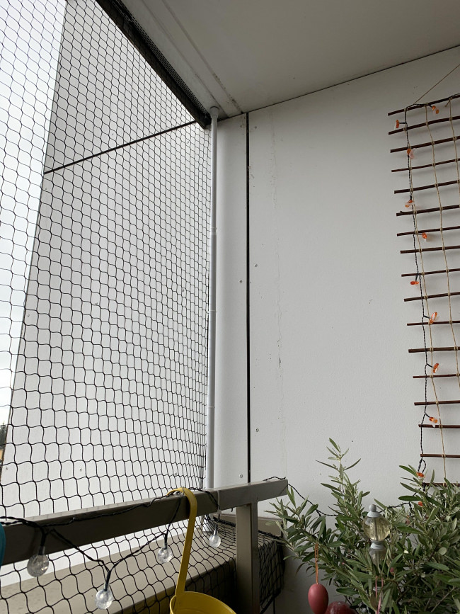 Kundenfoto von Cat Safety Net by the m² (Custom-Made) 