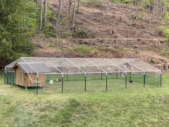 Kundenfoto von Pigeon Protection Net by the m² (Custom-Made) 