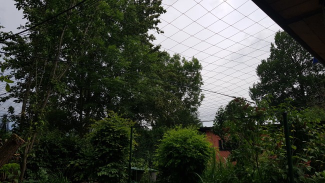 Kundenfoto von Heron Protection Net by the m² (Custom-Made), black 