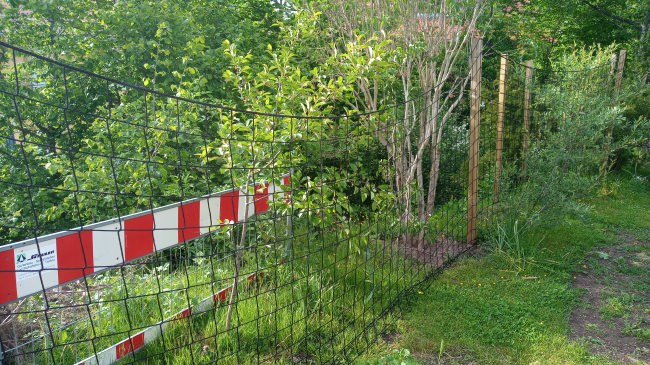 Kundenfoto von Fußballfangnetz per m² (nach Maß) 