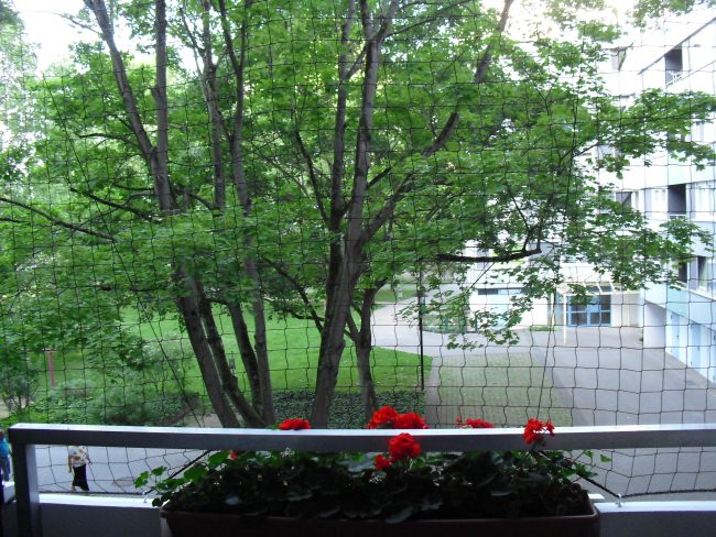 Kundenfoto von Taubenschutznetz per m² (nach Maß) 