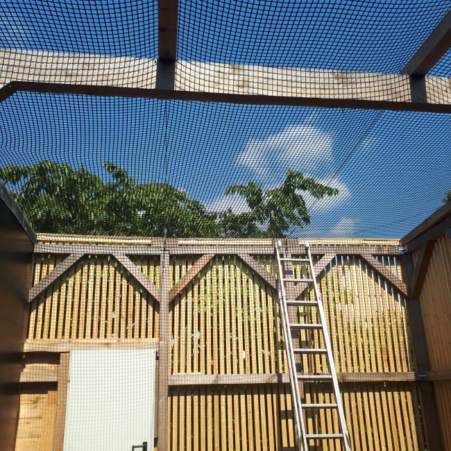 Kundenfoto von Netz nach Maß (per m²) 3,0/30 mm, schwarz 