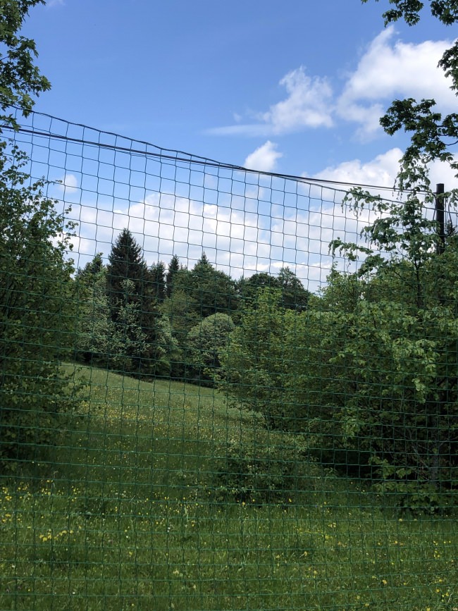 Kundenfoto von Sicherheitsnetz per m² (nach Maß) 