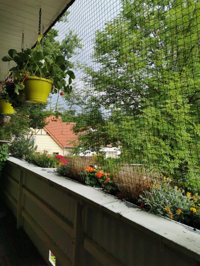 Kundenfoto von Cat Safety Net by the m² (Custom-Made) 