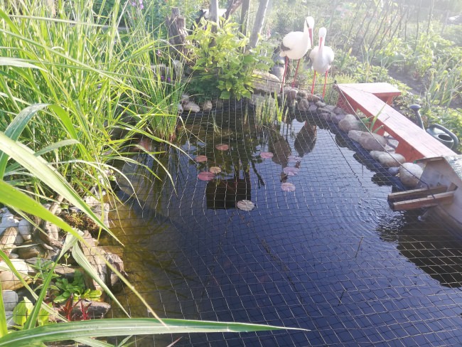 Kundenfoto von Taubenschutznetz per m² (nach Maß) 