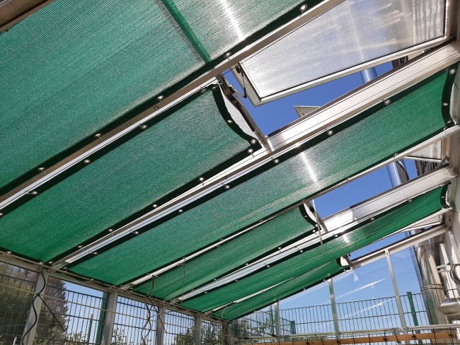 Kundenfoto von Privacy Netting - 50% - by the m² (Custom-Made) 