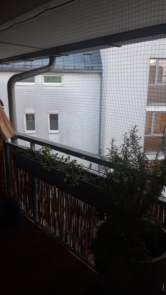 Kundenfoto von Flame-Retardant Safety Net, by the m² (Made to Measure) 